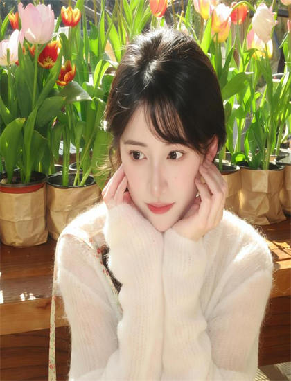 《神奇的梦想飞船》情感线解析：爱情、友情、亲情探讨